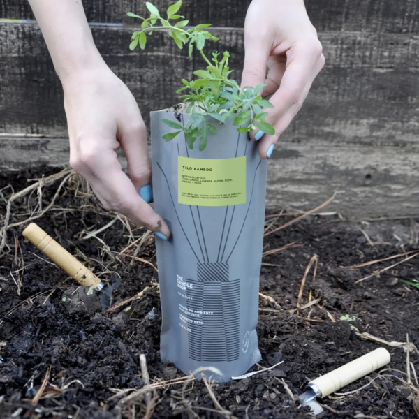 Difusor Basic Compost Pack Tilo Bamboo