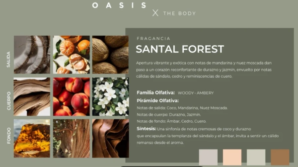 Pack Difusor De Ambiente Oasis X The Body - Imagen 2
