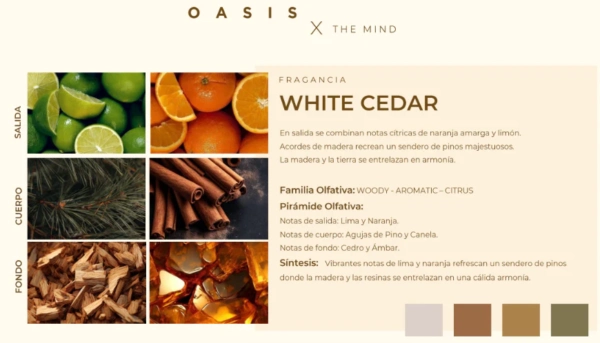 Pack Difusor De Ambiente Oasis X The Soul - Imagen 3