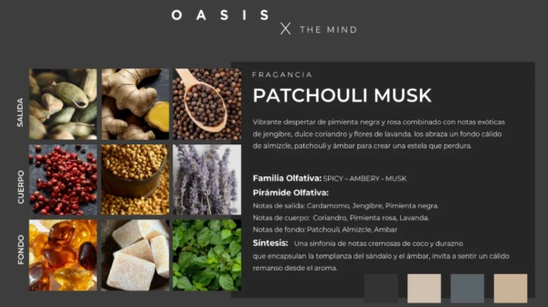 Pack Difusor De Ambiente Oasis X The Mind - Imagen 6