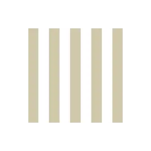 Camino Rayas Champagne - 0.40 X 1.40m