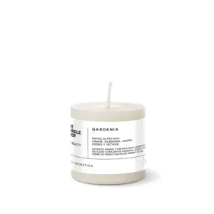 Vela 6 X 6 Gardenia
